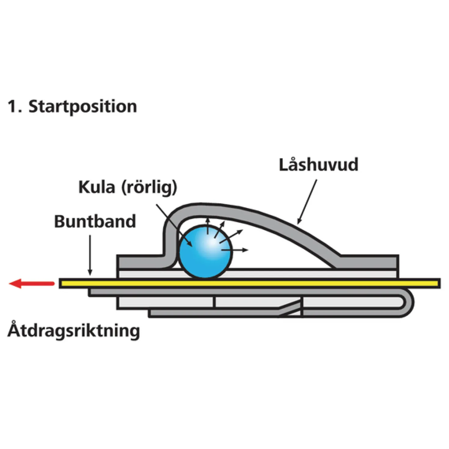 Buntband