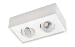 Downlight