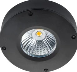 Downlight