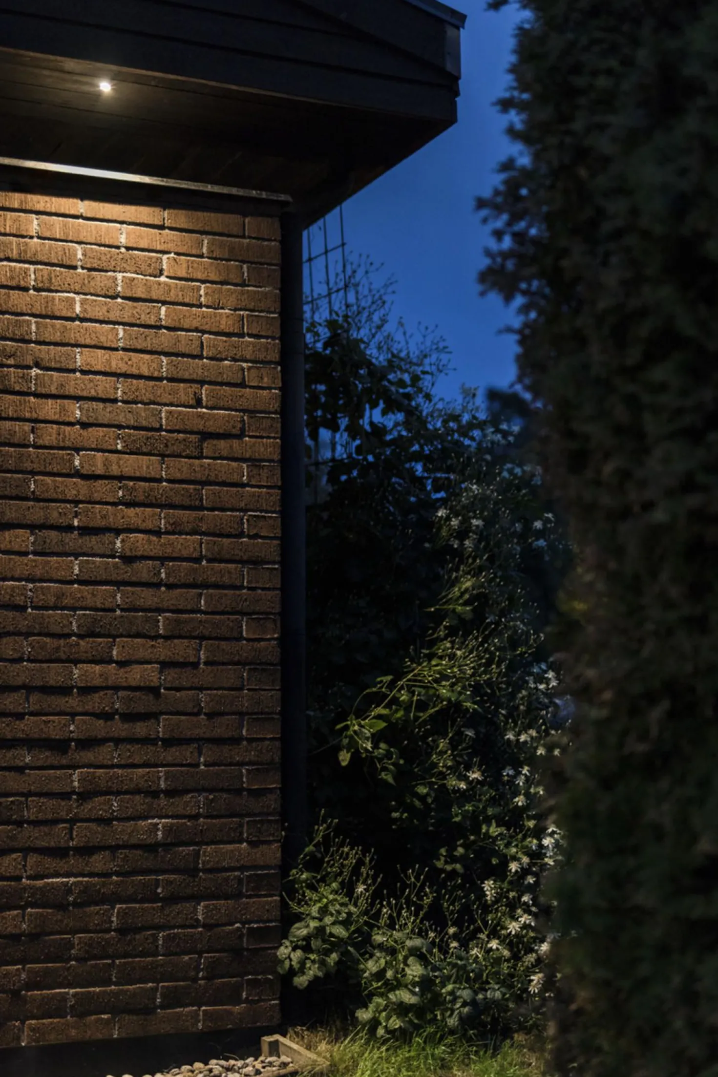Downlight