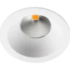 Downlight
