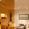 Downlight