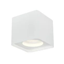 Downlight