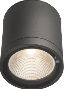 Downlight