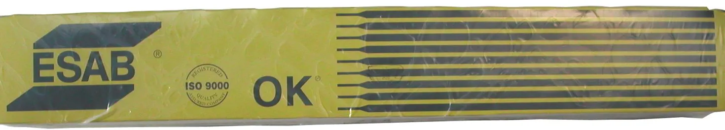 Elektrod