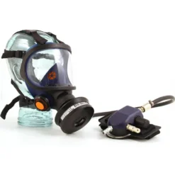 Helmask