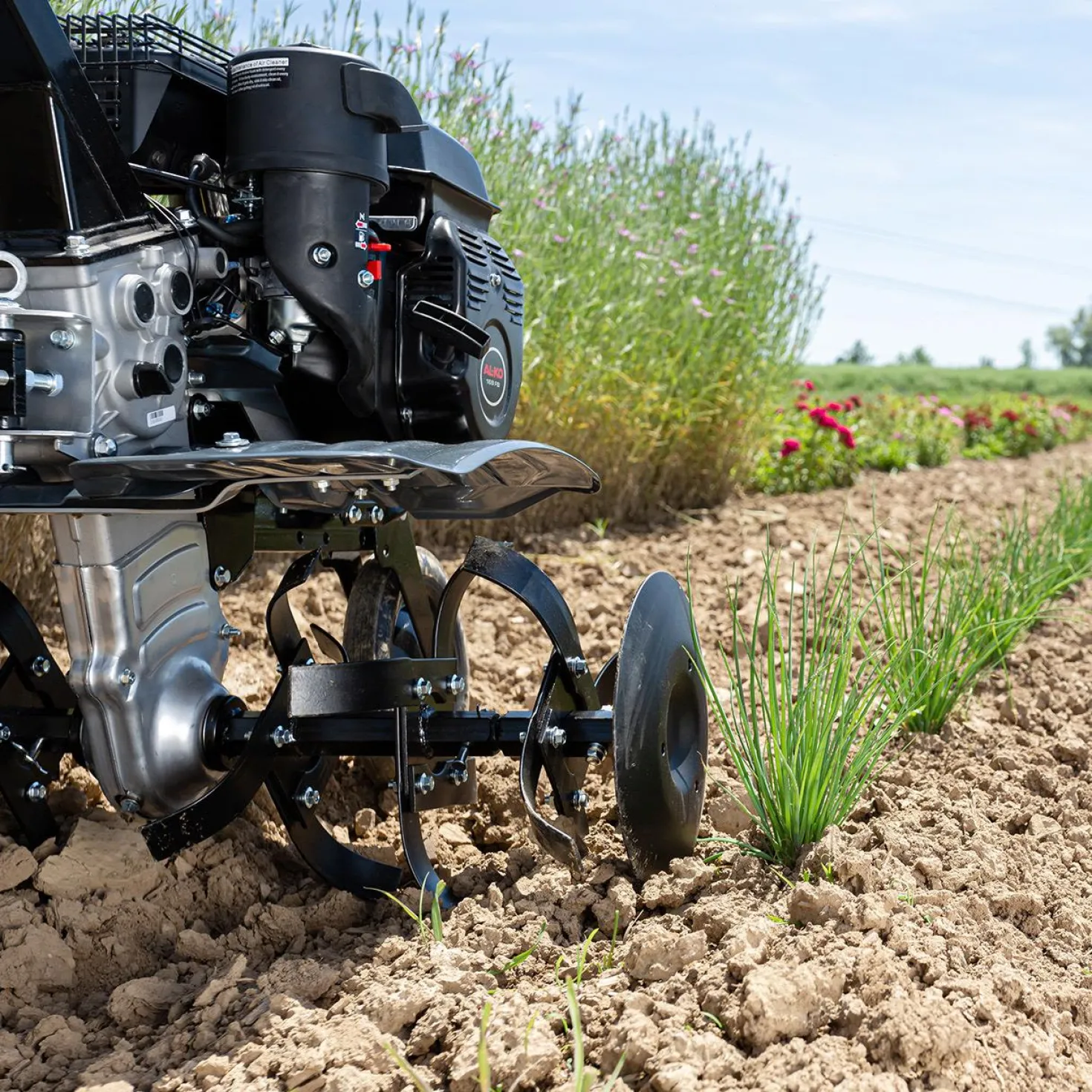 Jordfräs