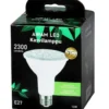 LED-lampa