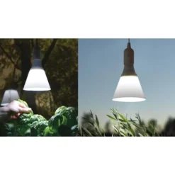 LED-växtbelysning