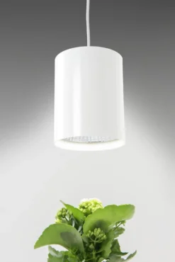 LED-växtbelysning