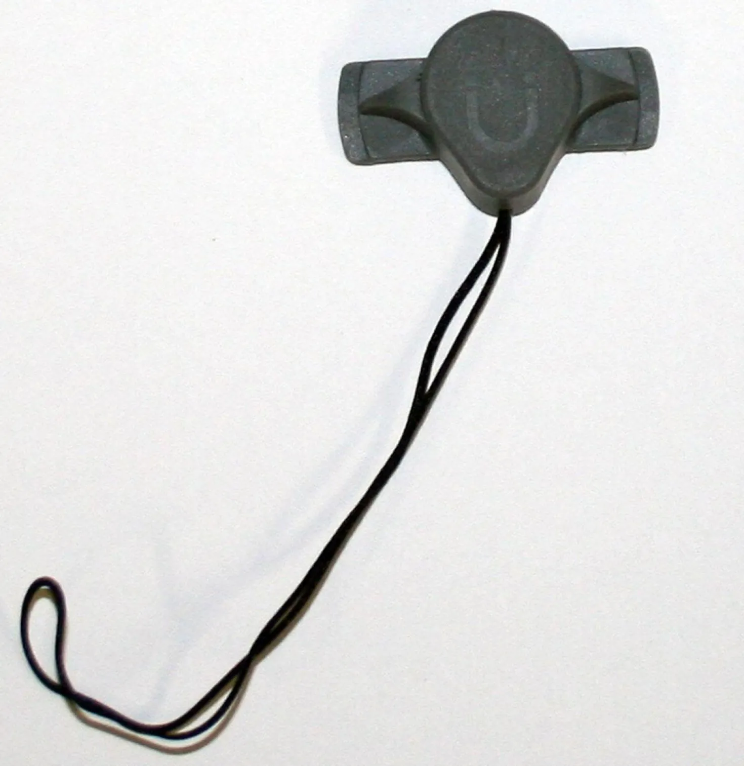 Magnet