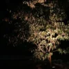 Markspotlight