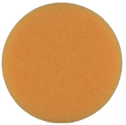 Polersvamp