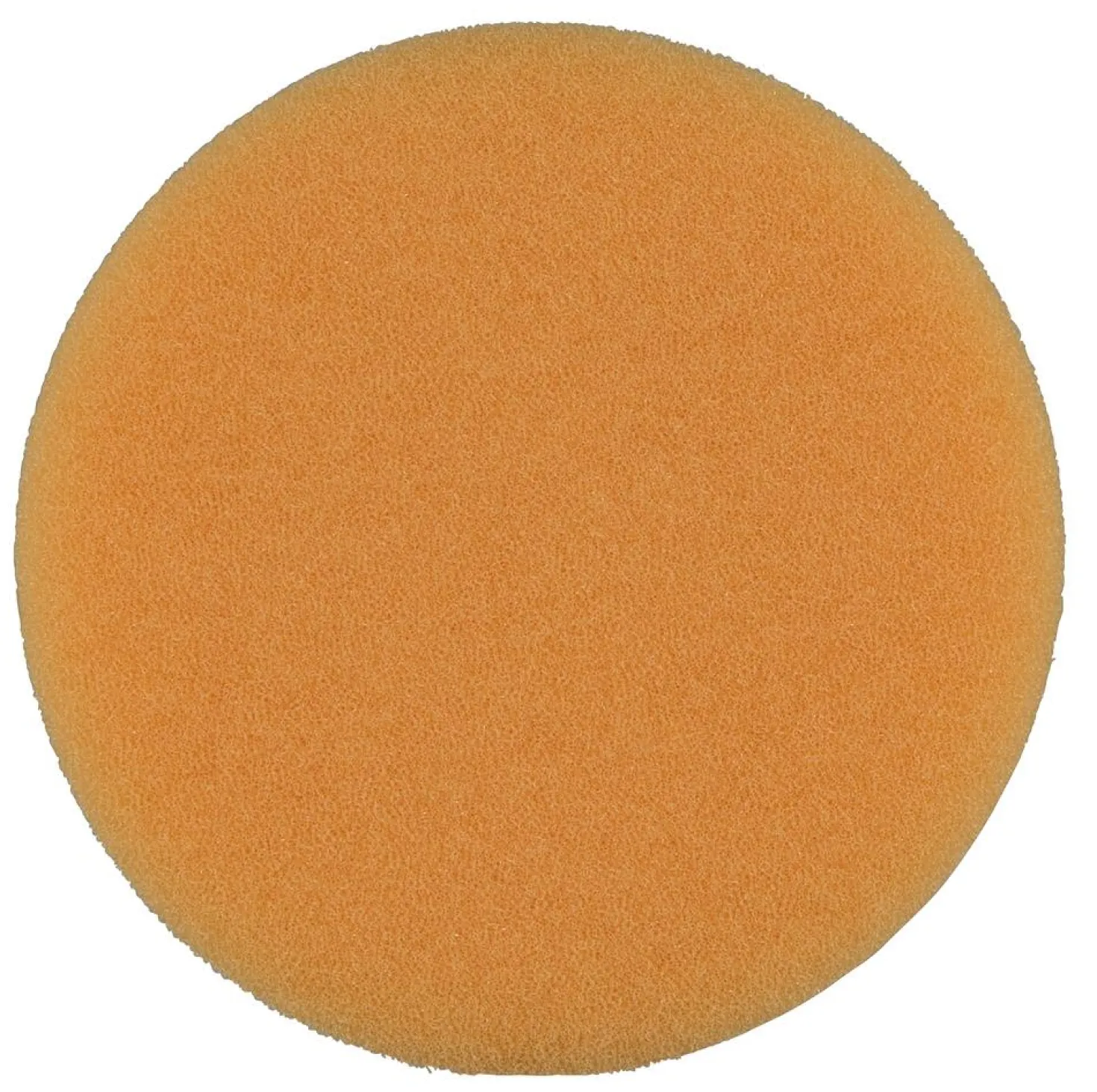 Polersvamp