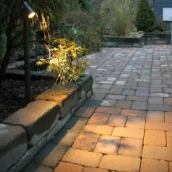 Pollare