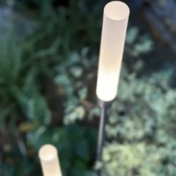Pollare