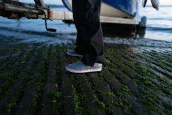 Regnsko