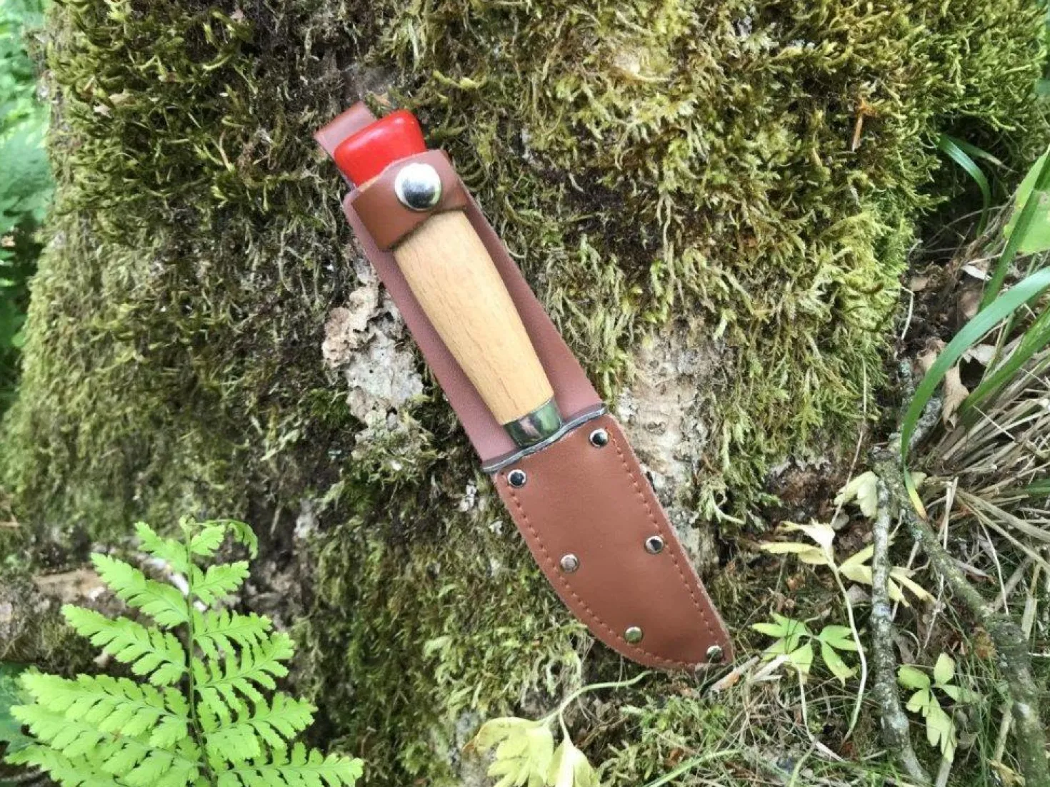 Scoutkniv
