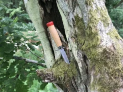 Scoutkniv