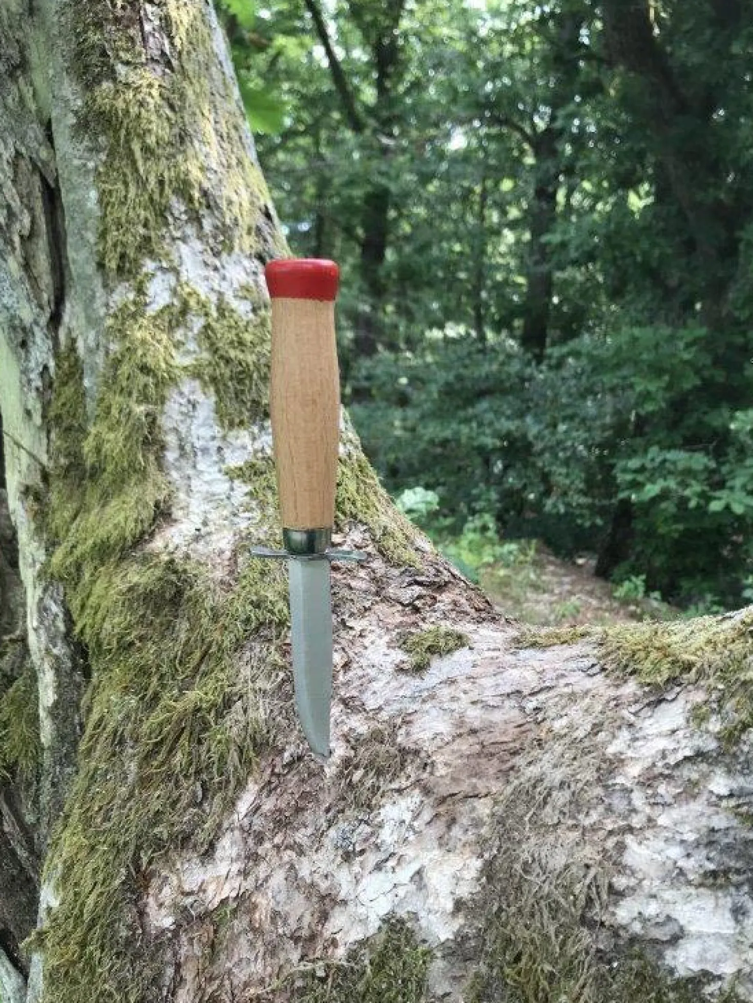 Scoutkniv