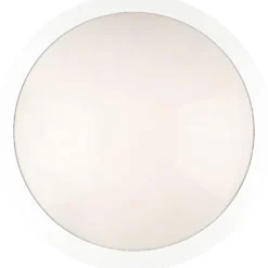 Tak- och väggplafond